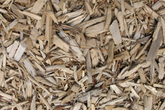 biomass boilers Hartshead